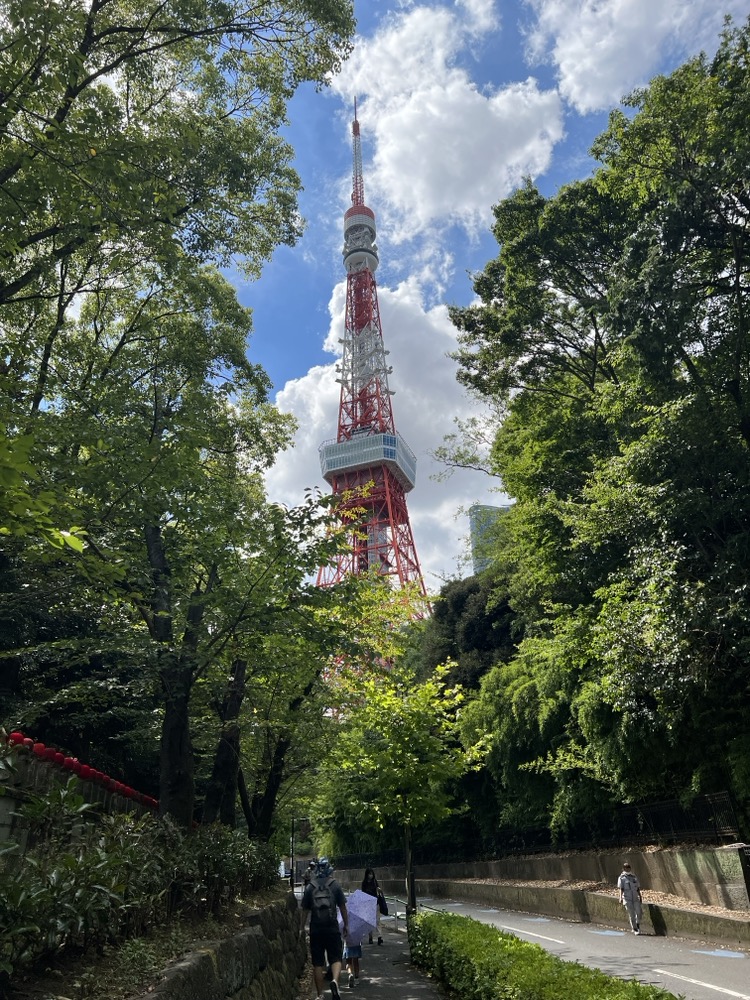 从芝公园看东京塔